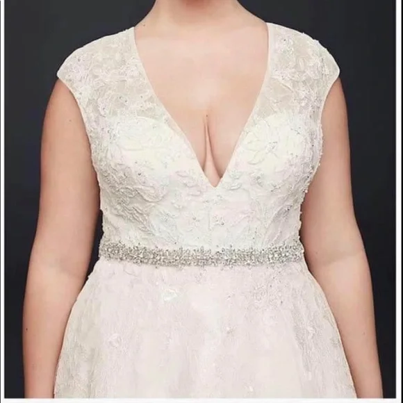 Oleg Cassini, size 24(plus size), full length wedding dress with